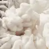 Frozen Moment, Cream
