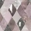 Big Harlequin, Plum