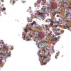 Floral World