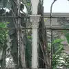 Dove Gardens