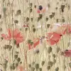 Poppies