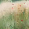 Midsommar