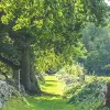 Early Summer