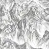 Moon Rock, Surface