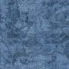 Star Map