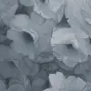 Harmony