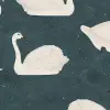 Cygne, Bleu
