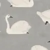 Cygne