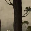 Rabbit Hole