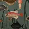 Aquatic Life, Oxygen