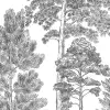 Scandinavian Bellewood, Gray