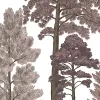 Scandinavian Bellewood, Dawn