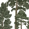 Scandinavian Bellewood