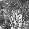 Furada, Graphite