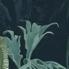 Madagascar, Teal