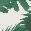 Palm Spring, Pearl