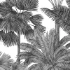 Tropical Bellewood, Graphite