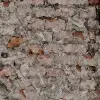 Barcelona, Rust