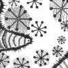 Zebra Skin, Graphic