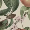 Peach Valley, Sand