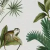 Monkey Island, Ivory