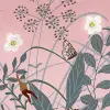 Pixie, Dawn