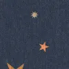 Stardust, Night