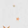 Stardust, Dusk