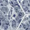 Marbled Hexagon Tiles, Dark Blue
