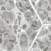 Marbled Hexagon Tiles, Gray