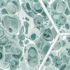 Marbled Hexagon Tiles, Green