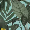 Birds of Paradise, Lush Green