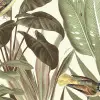 Birds of Paradise, Bright Dawn