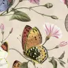 Butterflies, Color