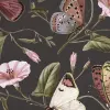 Butterflies, Midnight