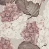 Hydrangea, Sand