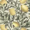 Lemon Tree, Light Green