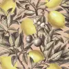 Lemon Tree, Pink