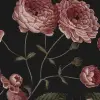 Sweet Buttercups, Midnight