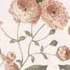 Sweet Buttercups, Soft