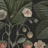 Wild Strawberries, Midnight
