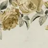 Rose Plenty, Yellow