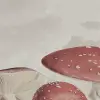 Mushrooms, Vintage