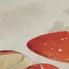 Mushrooms, Color