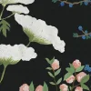 Crowberry, Midnight
