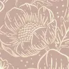 Golden Poppy, Dusty Pink