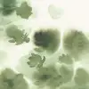 Faded Dreams, Green
