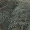 Jungle Forest, Dark