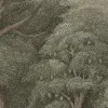 Jungle Forest, Green