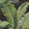 Banana Tree Jungle, Black